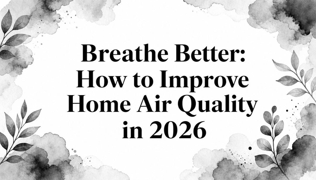 Breathe Better: How to Improve Home Air Quality in 2026