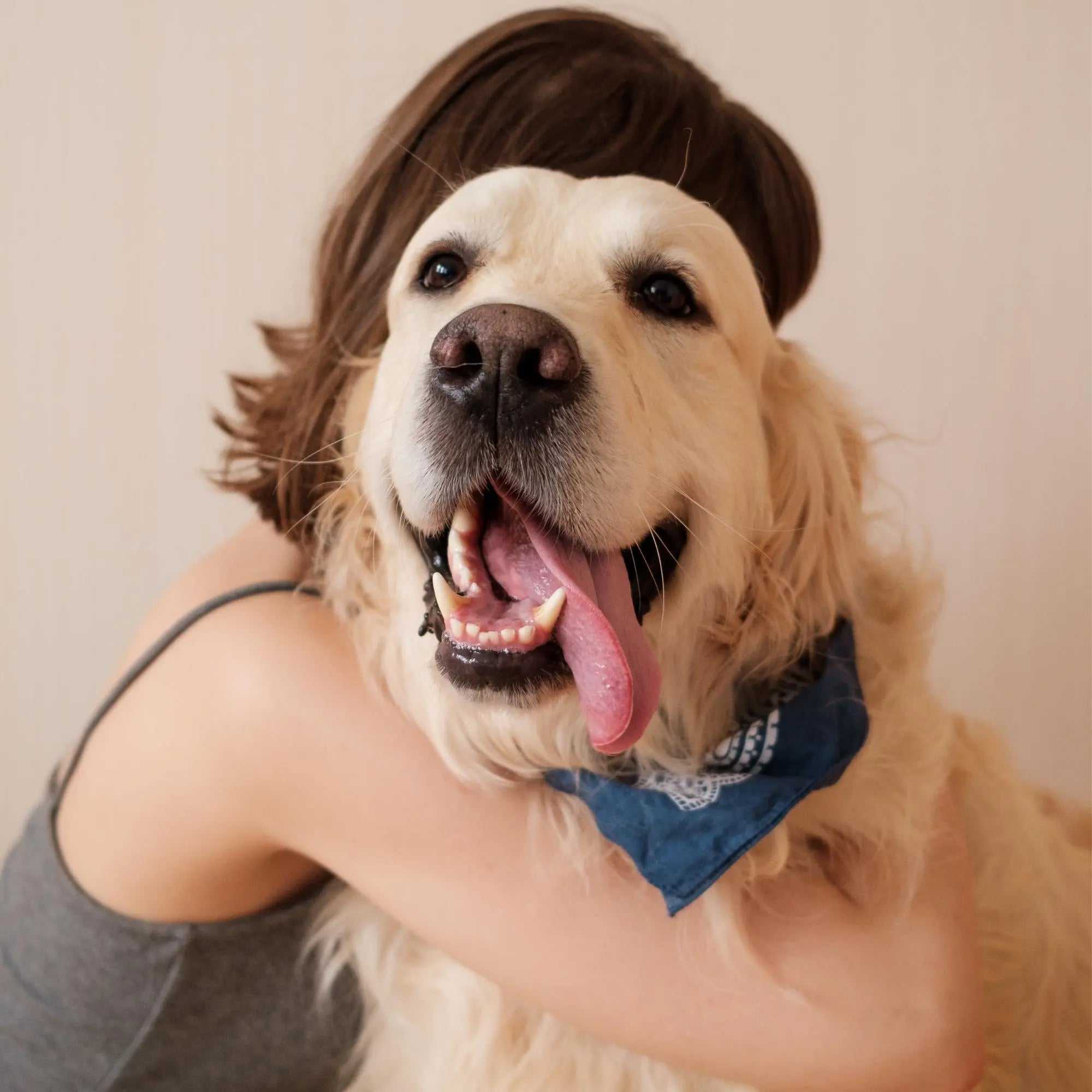 Pet supplies