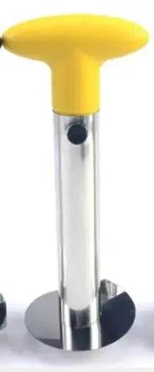 Pineapple Corer - Granted solutions