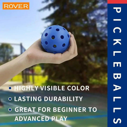 perfect pickleball