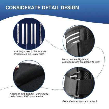 Back Support Belt