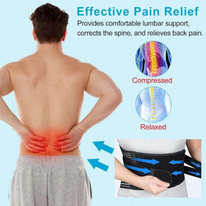 Back Support Belt