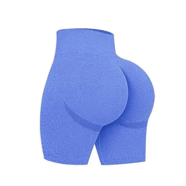 Seamless Sculpt High-Waist Stretch Shorts