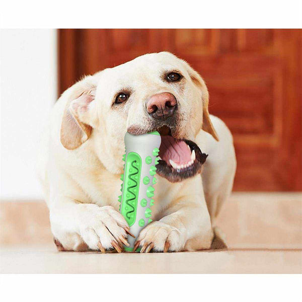 Dog playing with a green and white chew toy on a wooden floor.