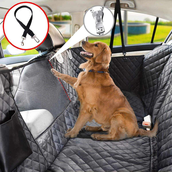 Dog sitting on a car seat cover with a leash and clip attachment in the background